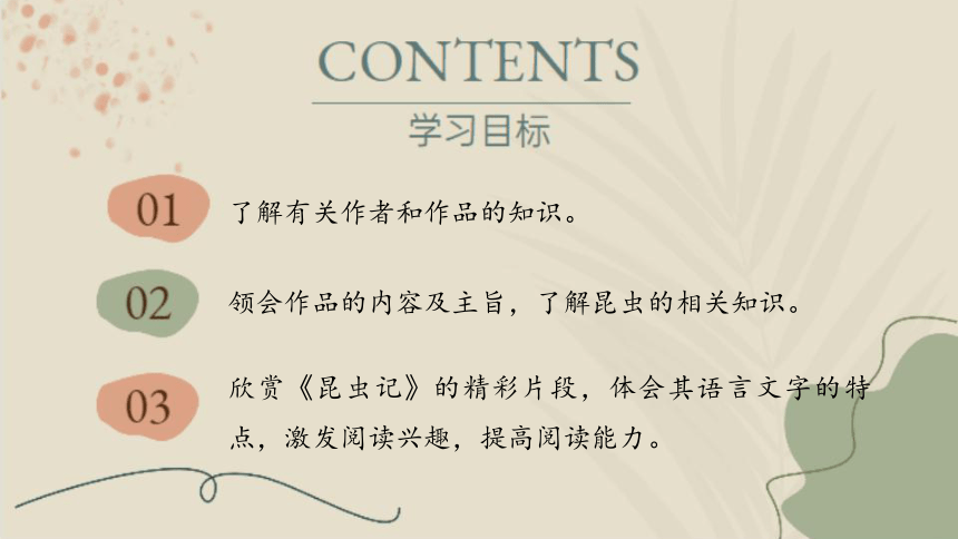 课件预览