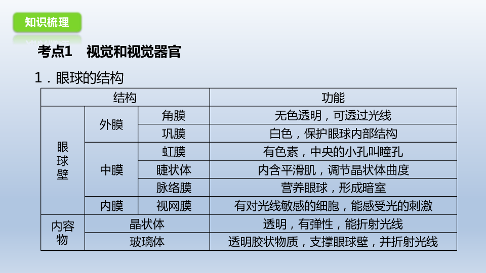 冀教版生物七年级下册：第二单元 第四章 合理用脑 高效学习  复习课件（共21张PPT）