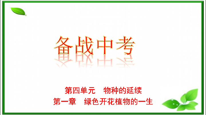 初中生物中考备战——第四单元第一章绿色开花植物的一生（山东德州专刊）复习课件（75张PPT）