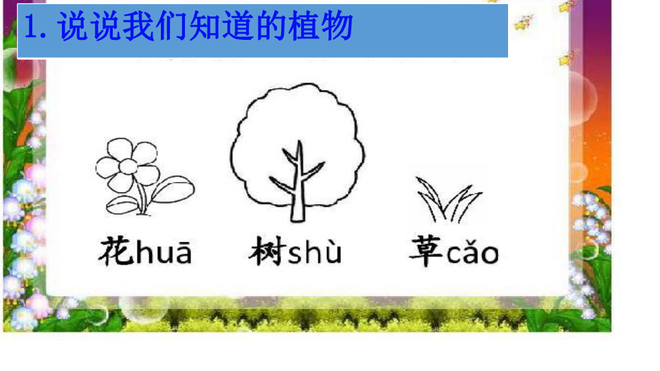 一 年级上册科学课件-《1.1 我们知道的植物》教科版(共17张PPT)