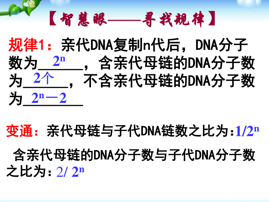 高中生物人教版必修二第三章第3节 DNA的复制 课件 33张PPT