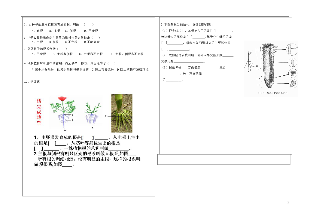 濟南版 八年級上冊 第四單元 物種的延續 第一章 綠色開花植物的一生