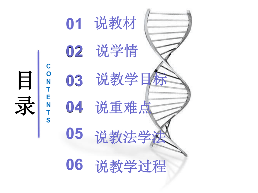 高中生物人教新课标版必修2第3章 基因的本质第2节 DNA分子的结构说课课件24张