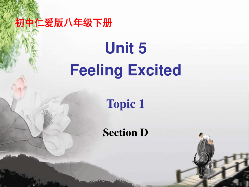 仁爱版八下英语Unit 5 Feeling Excited Topic 1 You Look Excited Section D 课件（18张 ...