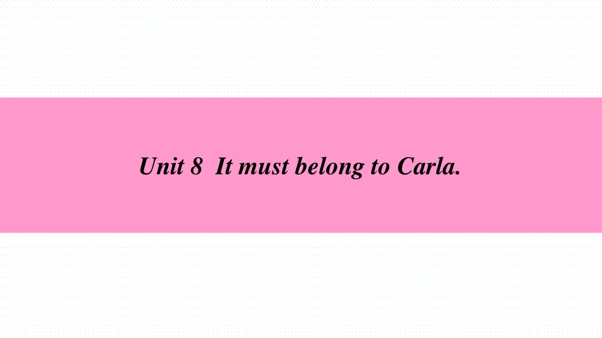 Unit 8 It must belong to Carla. 复习课件（共110张PPT）