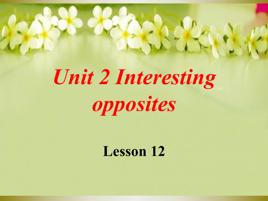 Unit 2 Interesting opposites Lesson 12 课件