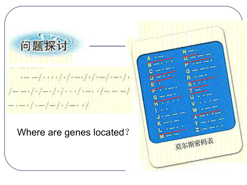 高中生物人教版必修2第四章第3节 遗传密码的破译  课件（20张）
