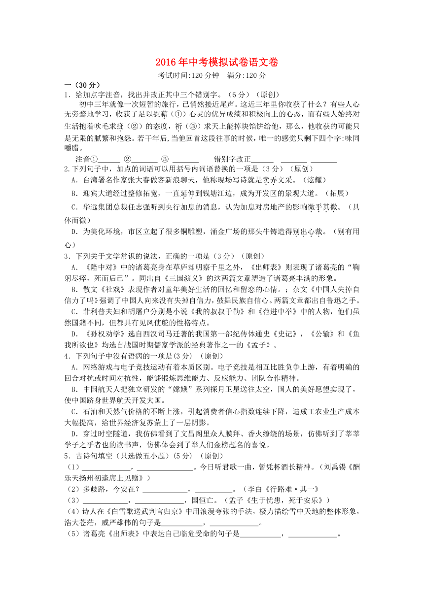 浙江省杭州市2016年中考语文模拟命题比赛试卷（含答案） (12)