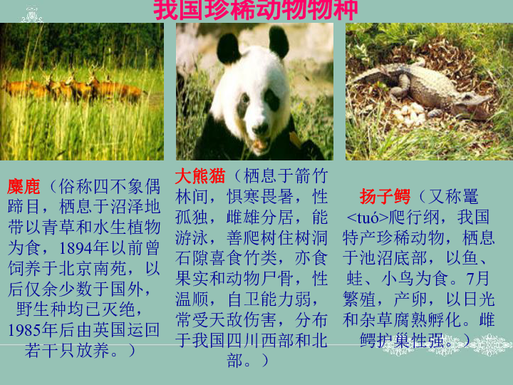 冀教版八下生物 7.3.3保护生物多样性 课件（23张PPT）