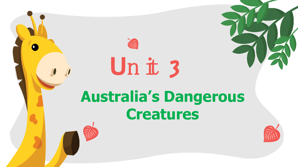 Unit 3 Australia Writing课件（23张PPT）