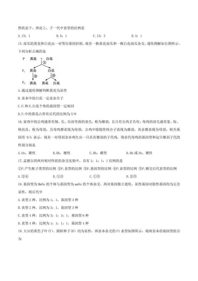 安徽省六安市两校2020-2021学年高一下学期4月第一次联考生物试题 Word版含答案