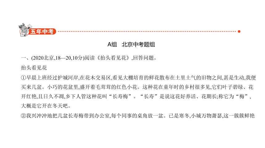 2021年语文中考复习北京专用 专题四 记叙性文章阅读 课件（317张PPT）