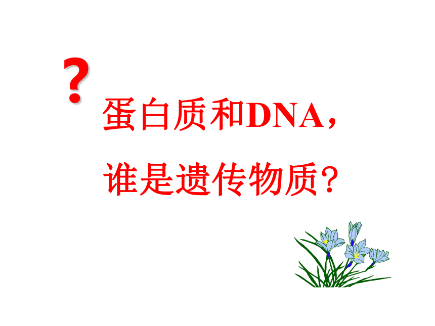 人教版必修二第三章第一节DNA是主要的遗传物质