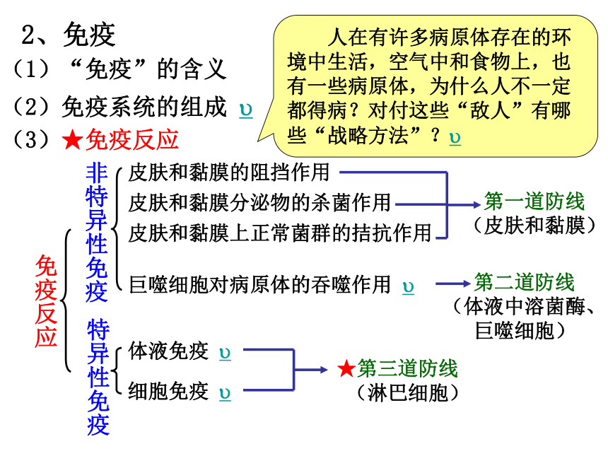 沪科版高中生物第二册第5章第4节动物体的细胞识别和免疫课件（19张PPT）