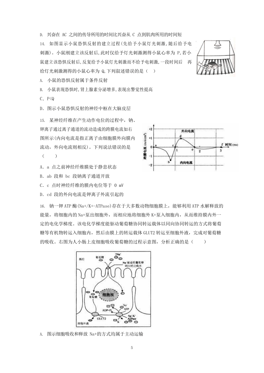 辽宁省丹东市东港第二高级中学2021-2022学年高二上学期11月第二次教学检测生物试卷（Word版含答案）