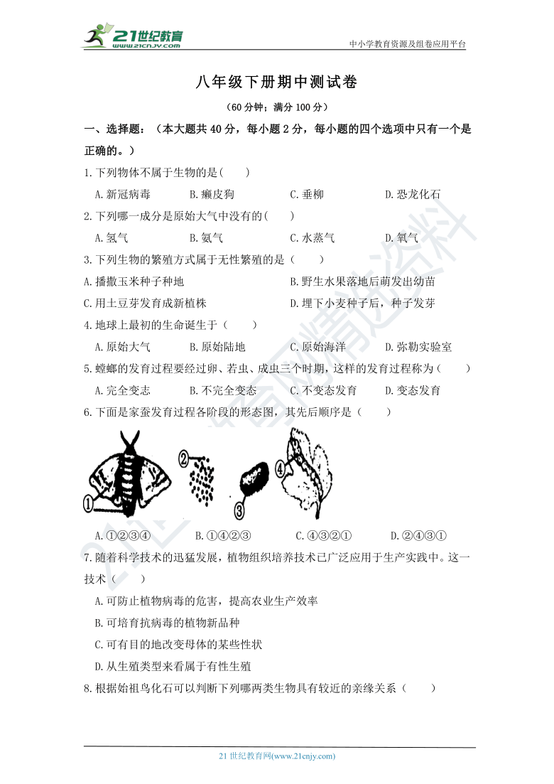 冀教版生物八下期中测试题（含答案）