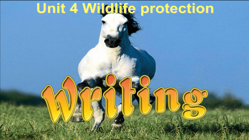 人教新课标英语必修二 Unit 4 Wildlife protection writing 教学课件 （共20张PPT）
