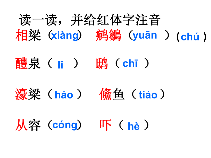 庄子故事两则 课件