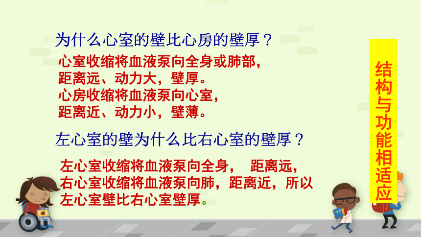 人教版七年级生物下册4.4.3输送血液的泵—心脏 课件 (共33张PPT)