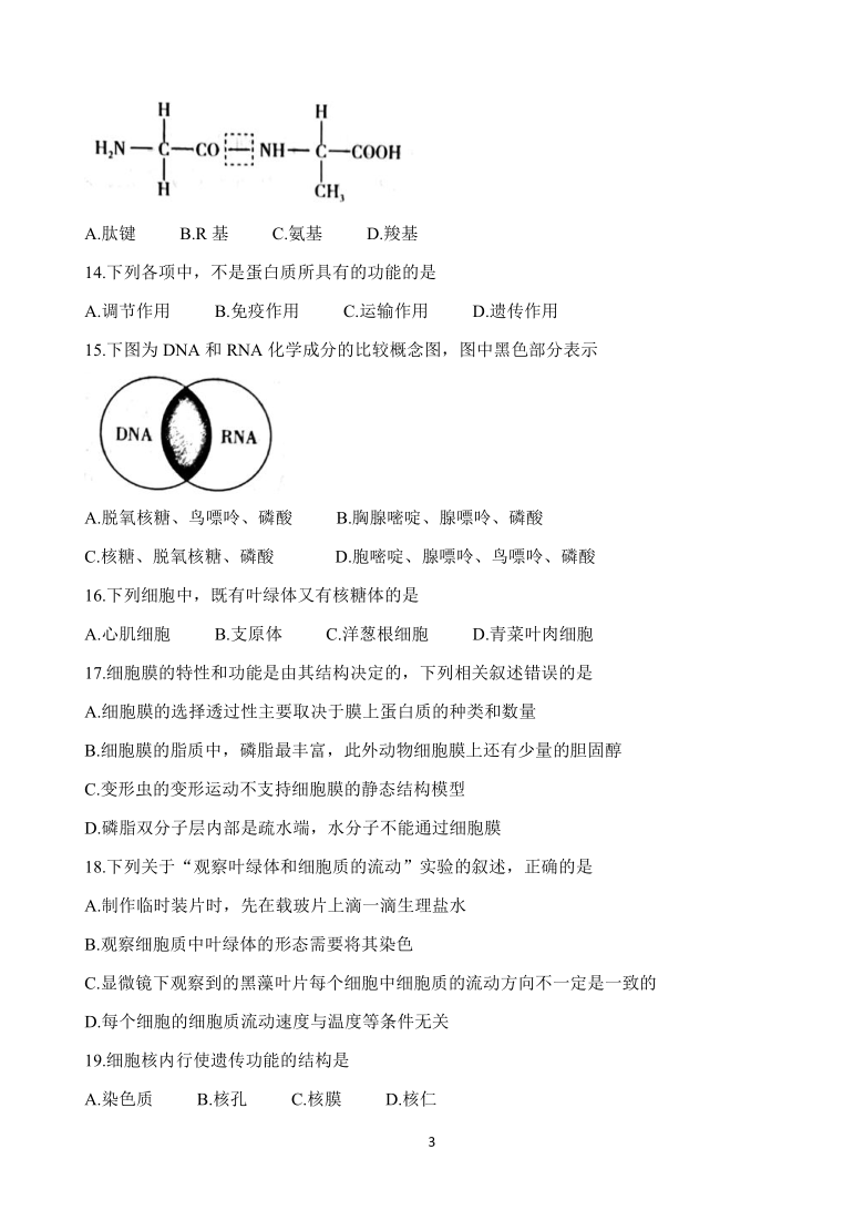 山西省太原市2020-2021学年高一上学期期中质量监测试题 生物  含答案