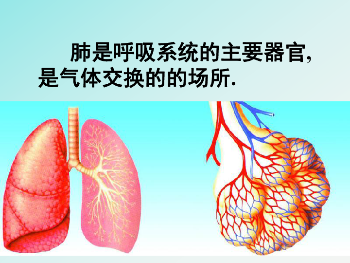 七下人的生活需要空氣複習課件共27張ppt