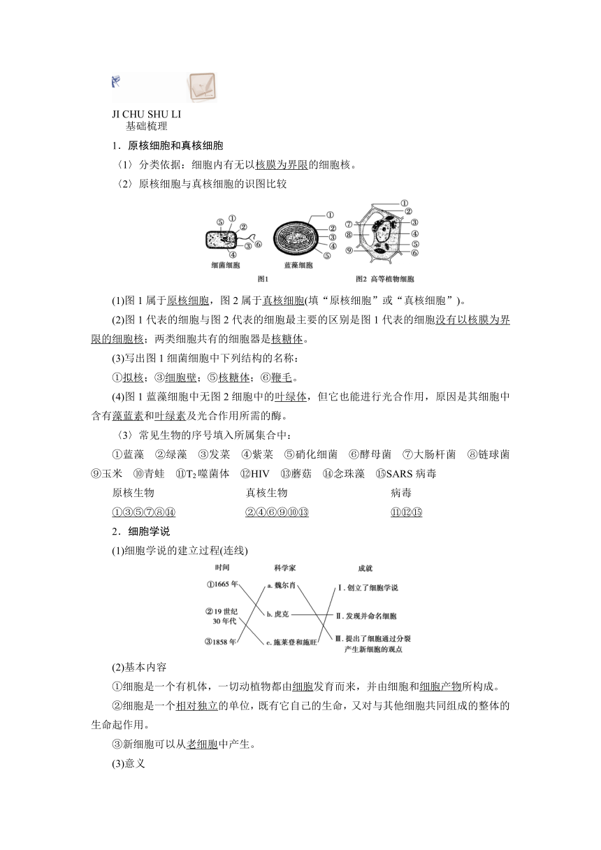 第一单元　走近细胞及组成细胞的分子　单元复习学案（含解析）