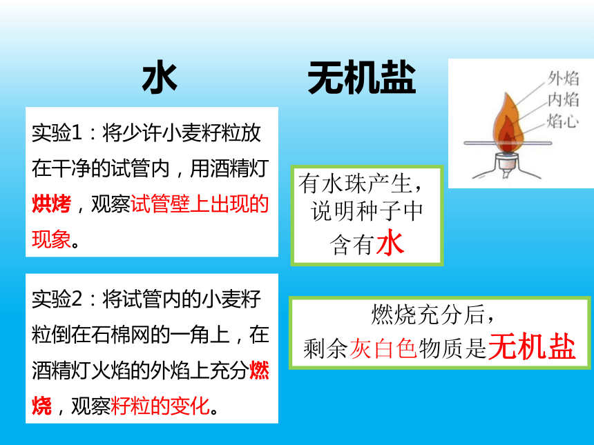 京改版七上生物  4.3 人和动物的营养 课件 (15张PPT)