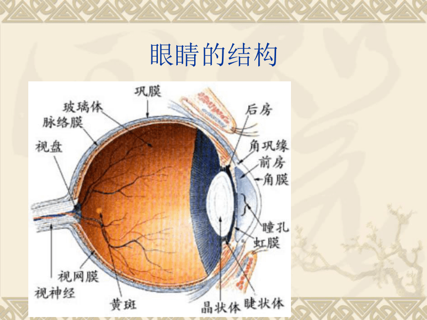 8 健康生活 课件