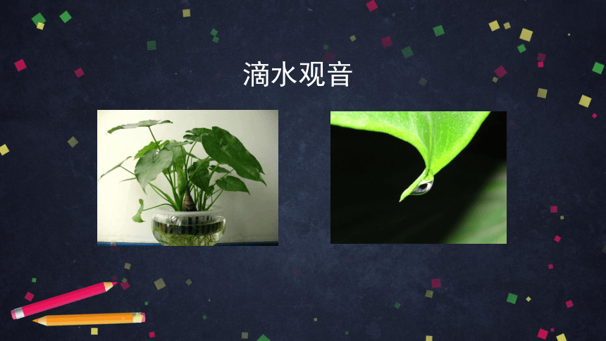 2021--2022学年北京版生物七年级上册4.1绿色植物的生活需要水和无机盐-- 根吸收的水和无机盐由导管运输课件（45张PPT）