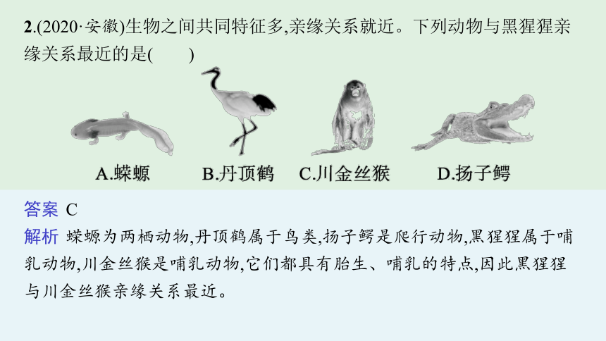 2021年安徽中考生物一轮复习  考点过关解析训练  第二十三讲 生命起源和生物进化课件（50张PPT）