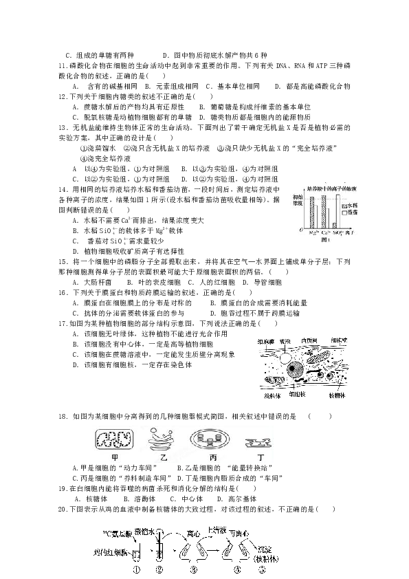 福建省永泰县第一中学2019-2020学年高一上学期期末考试 生物