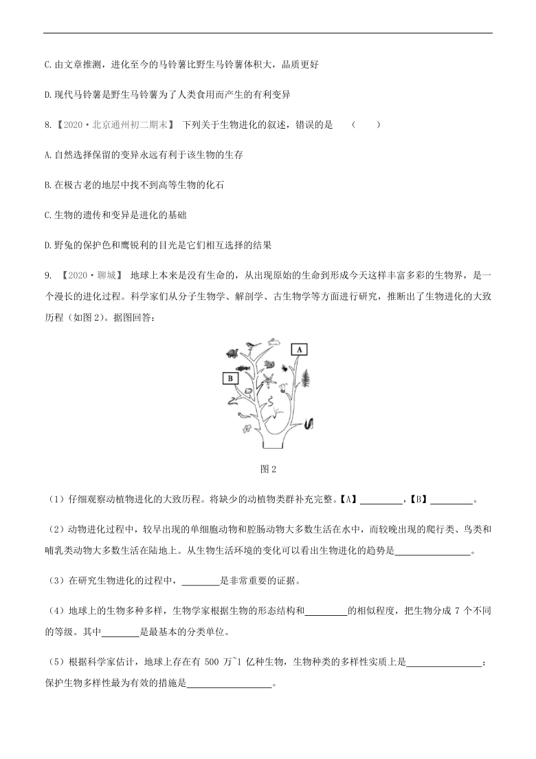 2021年内蒙古包头市中考生物一轮复习课时训练22　生命的起源和生物进化（Word版含解析）