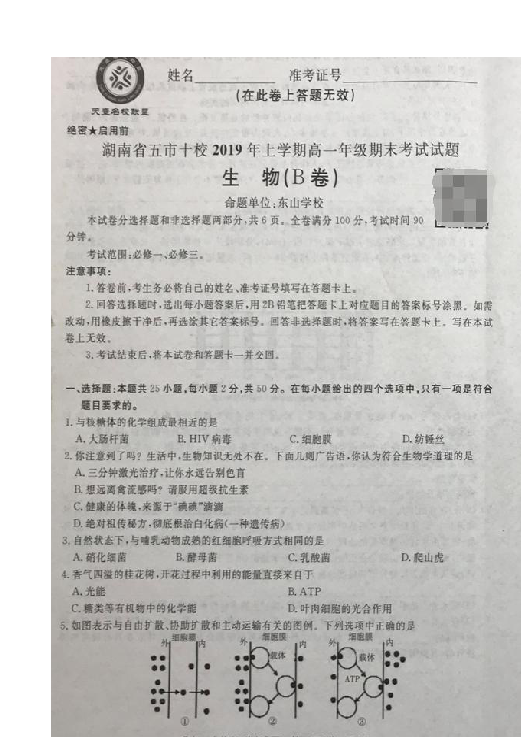 湖南省五市十校2018-2019学年高一下学期期末考试生物试题 扫描版