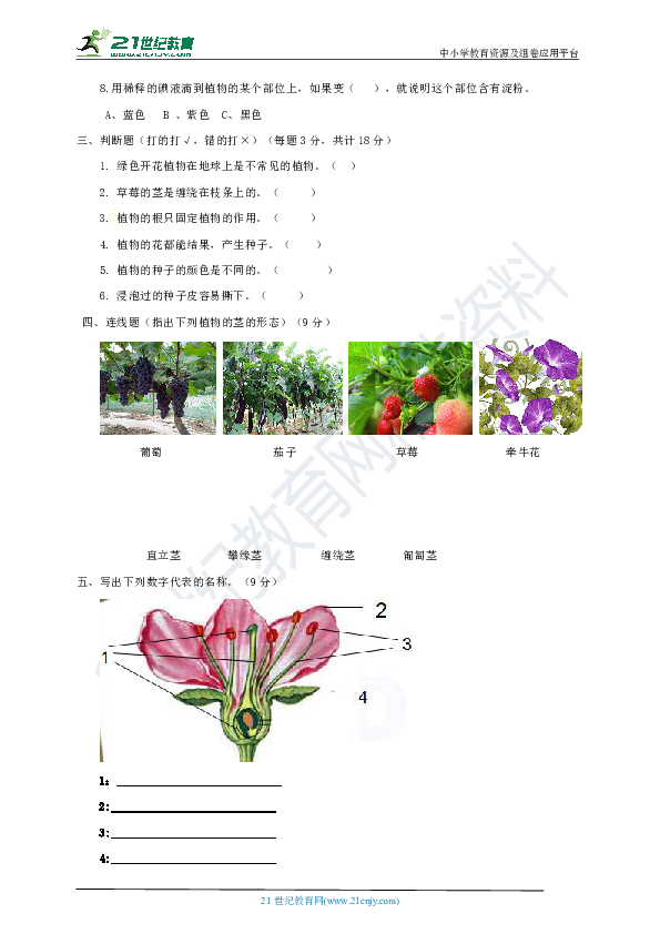 粤教粤科版小学科学4年级上第1单元 植物的身体 单元测试
