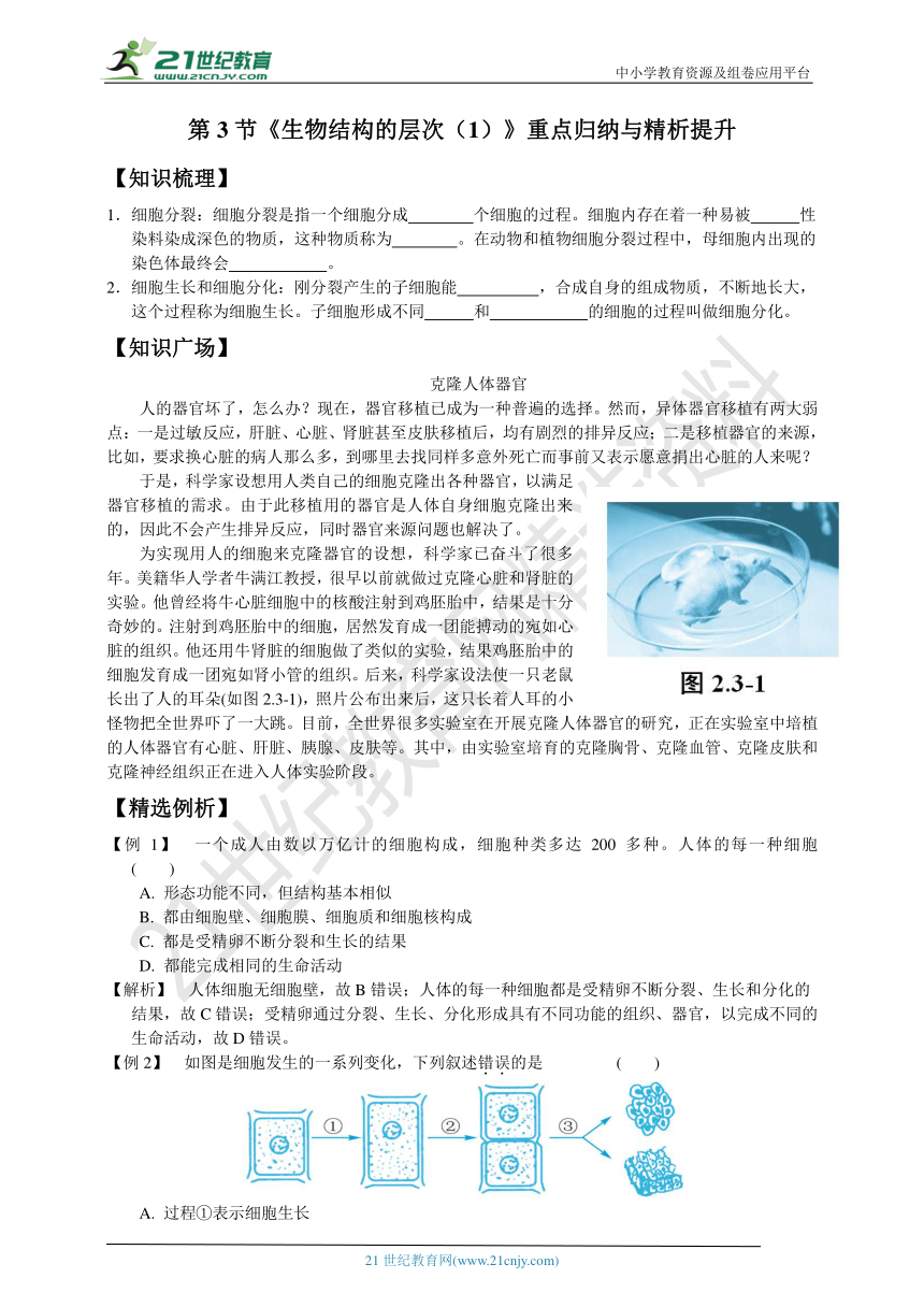 第3节《生物结构的层次（1）》重点归纳与精析提升