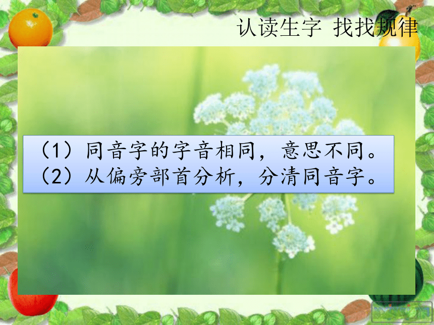 识字3 分清同音字 课件