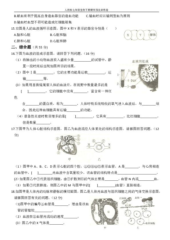 人教版七年级生物下册  第四章 人体的物质的运输期末系统强化训练卷