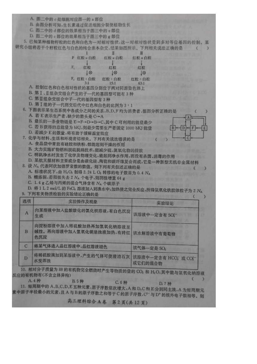 陕西省2016届高考全真模拟（二模）考试理科综合试题（图片版）