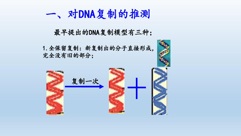 浙科版（2019）生物必修2：3.3 DNA通过复制传递遗传信息  课件（共44张PPT）