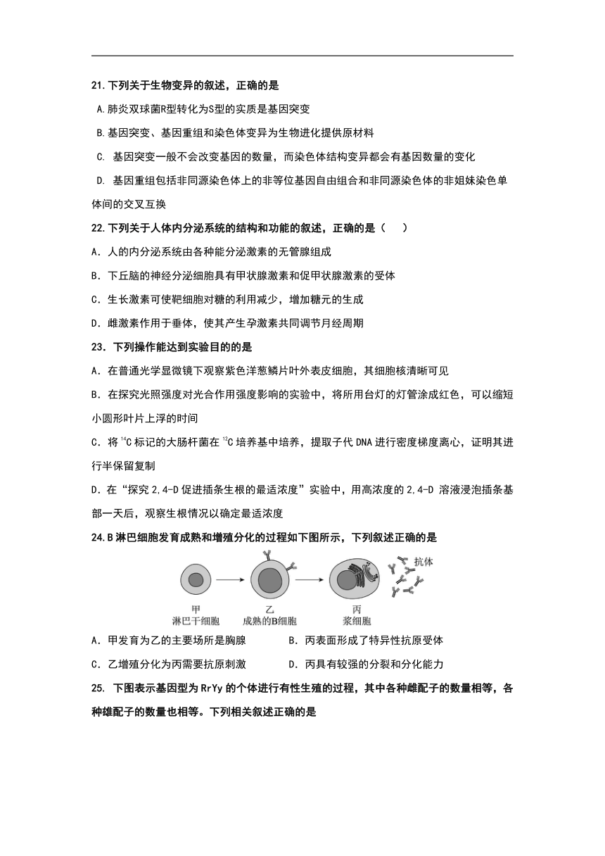 浙江省宁波诺丁汉大学附中2017-2018学年高二下学期期中考试生物试卷