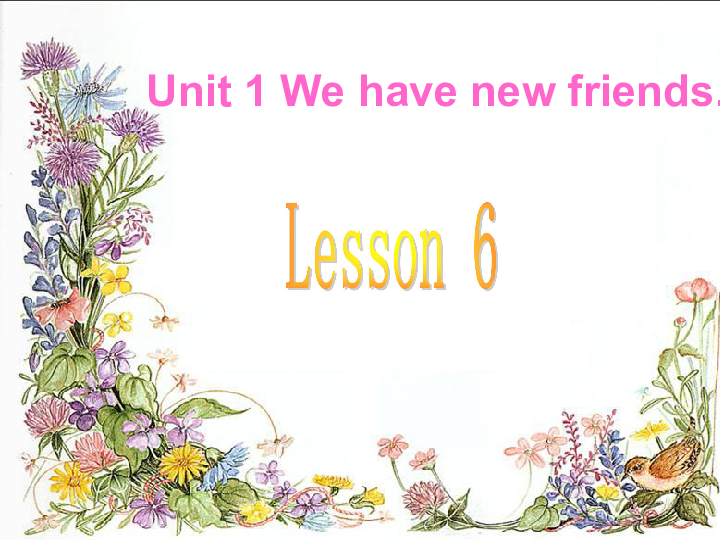 Unit 1 We have new friends. Lesson 6 课件（20张PPT）