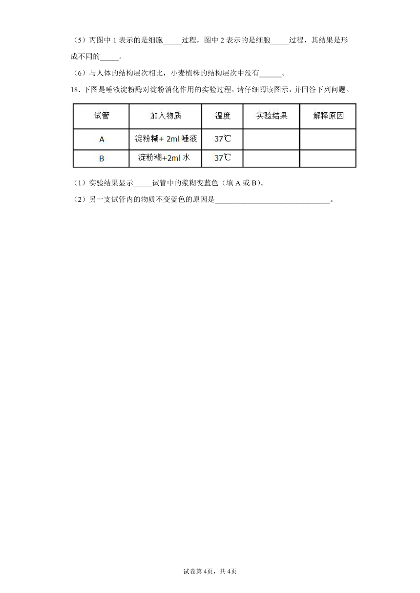 江西省吉安市吉安县文博国际学校2021-2022学年上学期 期中考试 九年级生物试卷（word版 含解析）