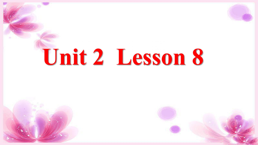 Unit 2 The short vowel sounds LESSON 8 课件  (共16张PPT)
