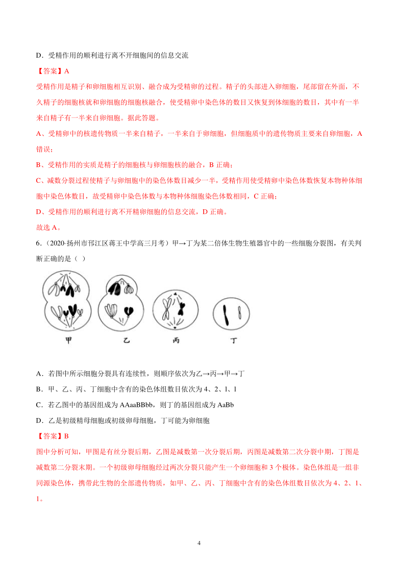 高三生物新题专项汇编：考点09 遗传的细胞基础（解析版）