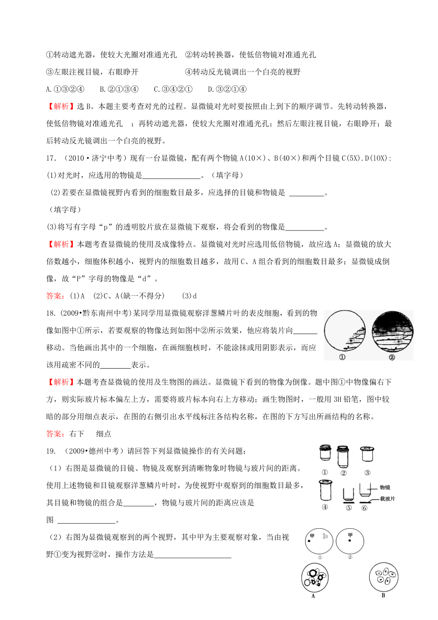 2008-2011全国各地中考生物分类详解中考题库二 严整的生命结构