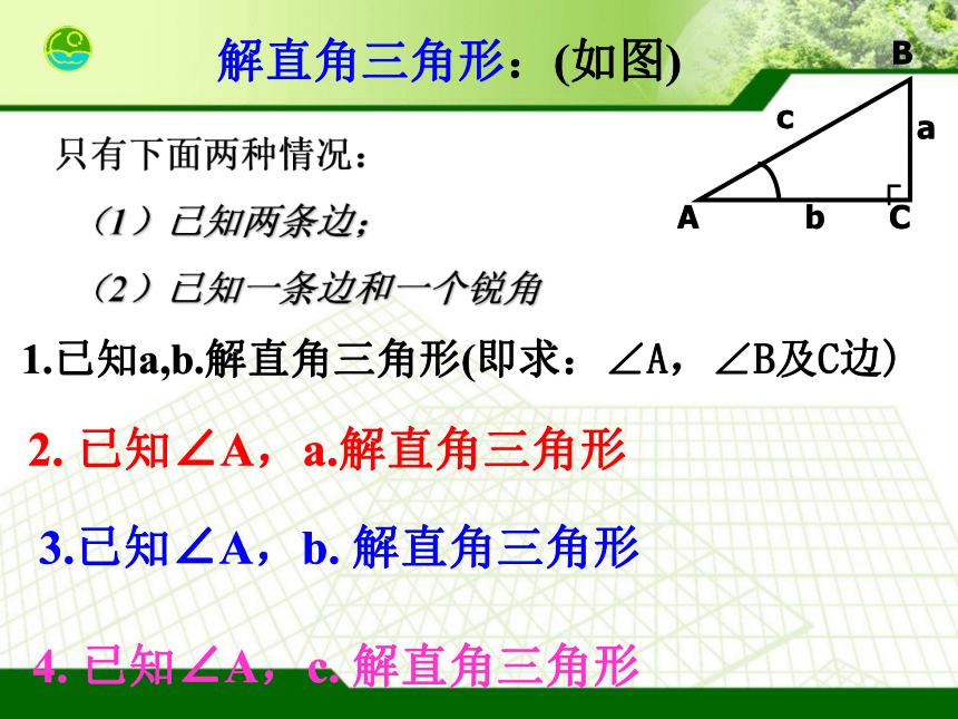 解直角三角形中考复习课件（44张PPT）