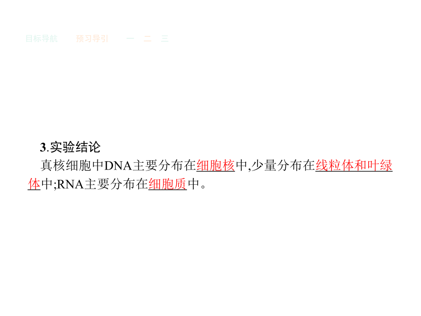 人教版生物必修1同步教学课件：2.3 遗传信息的携带者——核酸