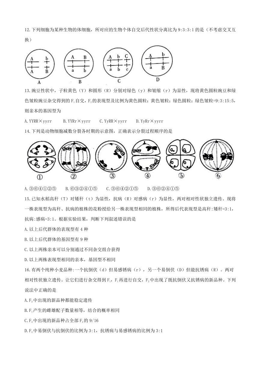 河北省石家庄市2016-2017学年高一下学期期末考试生物试题