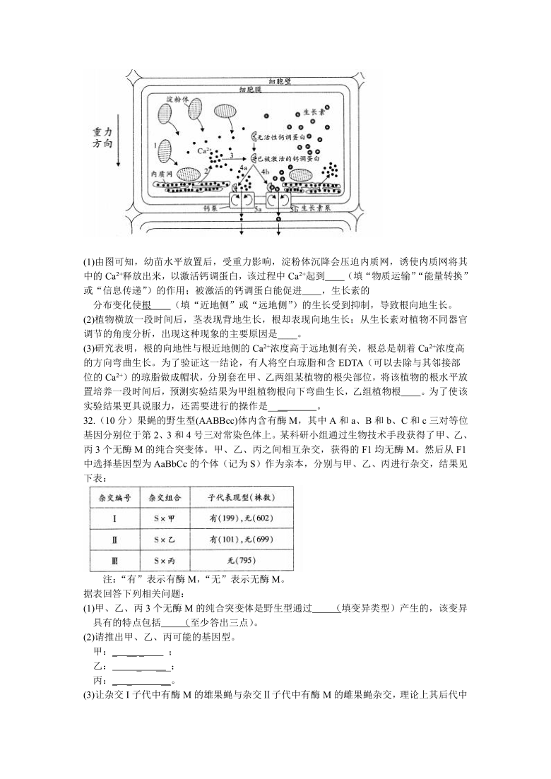 河南省中原名校2021届高三上期第四次精英联赛理科综合生物试题（12月）      含答案