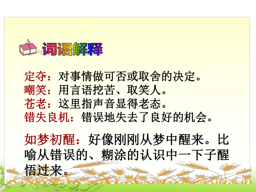 《最大的麦穗》课件